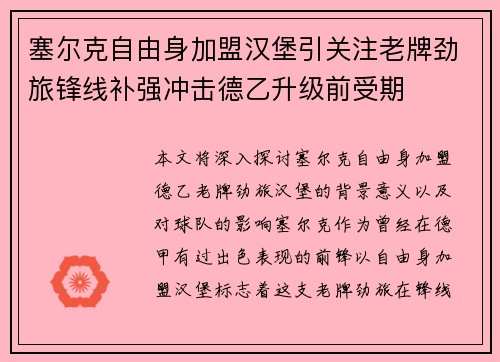 塞尔克自由身加盟汉堡引关注老牌劲旅锋线补强冲击德乙升级前受期 塞尔克自由身加盟汉堡引关注老牌劲旅锋线补强冲击德乙升级前受期