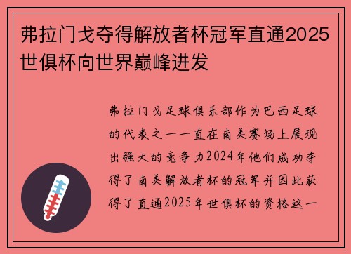 弗拉门戈夺得解放者杯冠军直通2025世俱杯向世界巅峰进发